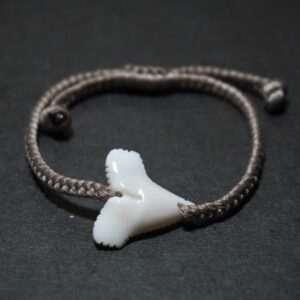 Shark Tooth