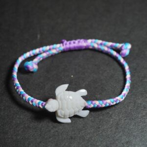 Sea Turtle - Berry Sorbet
