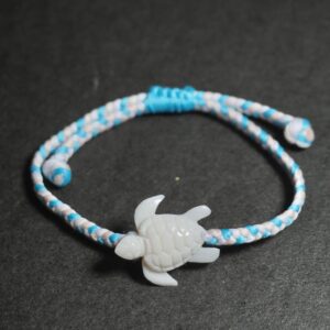 Sea Turtle - Aqua Pop
