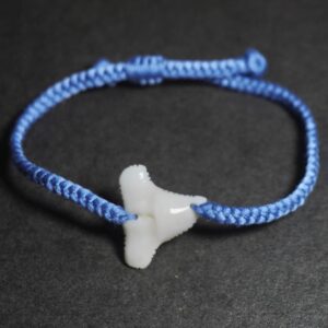 Shark Tooth
