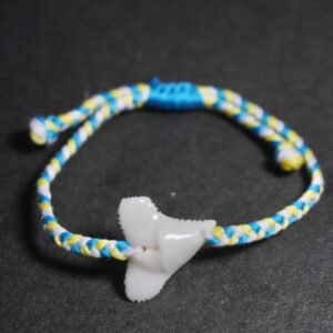 Shark Tooth